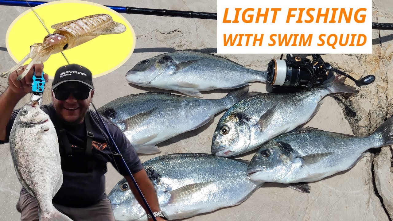 Rockbound Light Tackle Adventures #18: я нашел морских лещей и протестировал Swim Squid LRF! 💣💥🔥