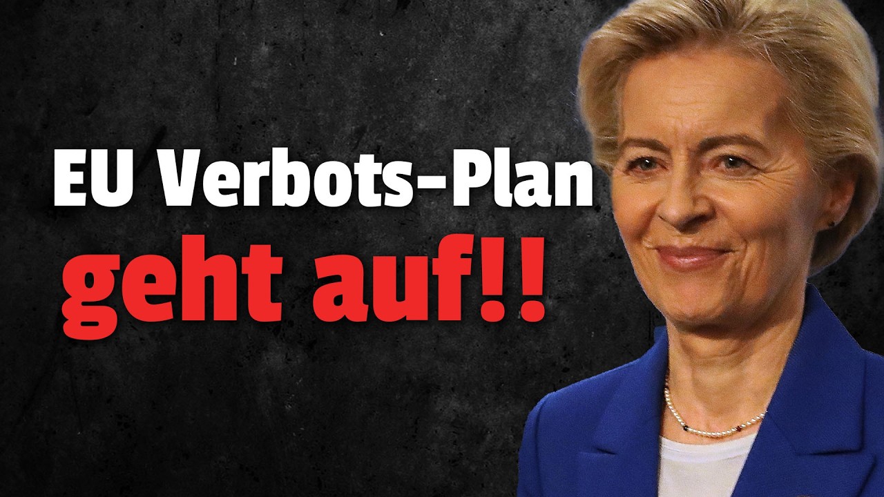 💥DAS wars: Verbrenner Aus ist ein FAKE!