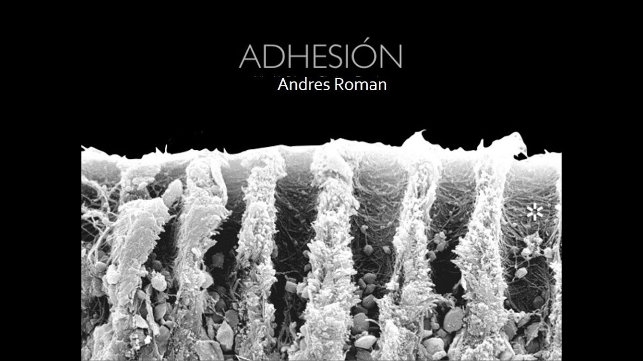 Introducción a la Adhesión dental según Dr. Andres Roman