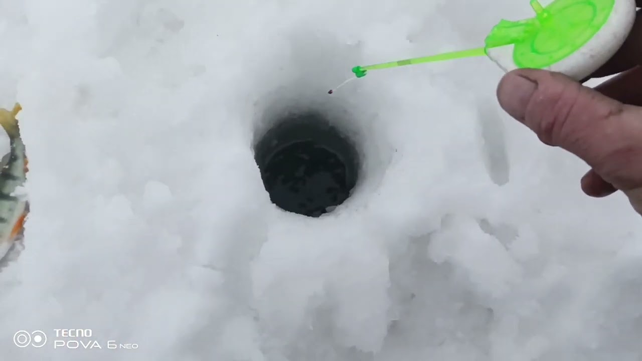 11 февраля 2026 г.