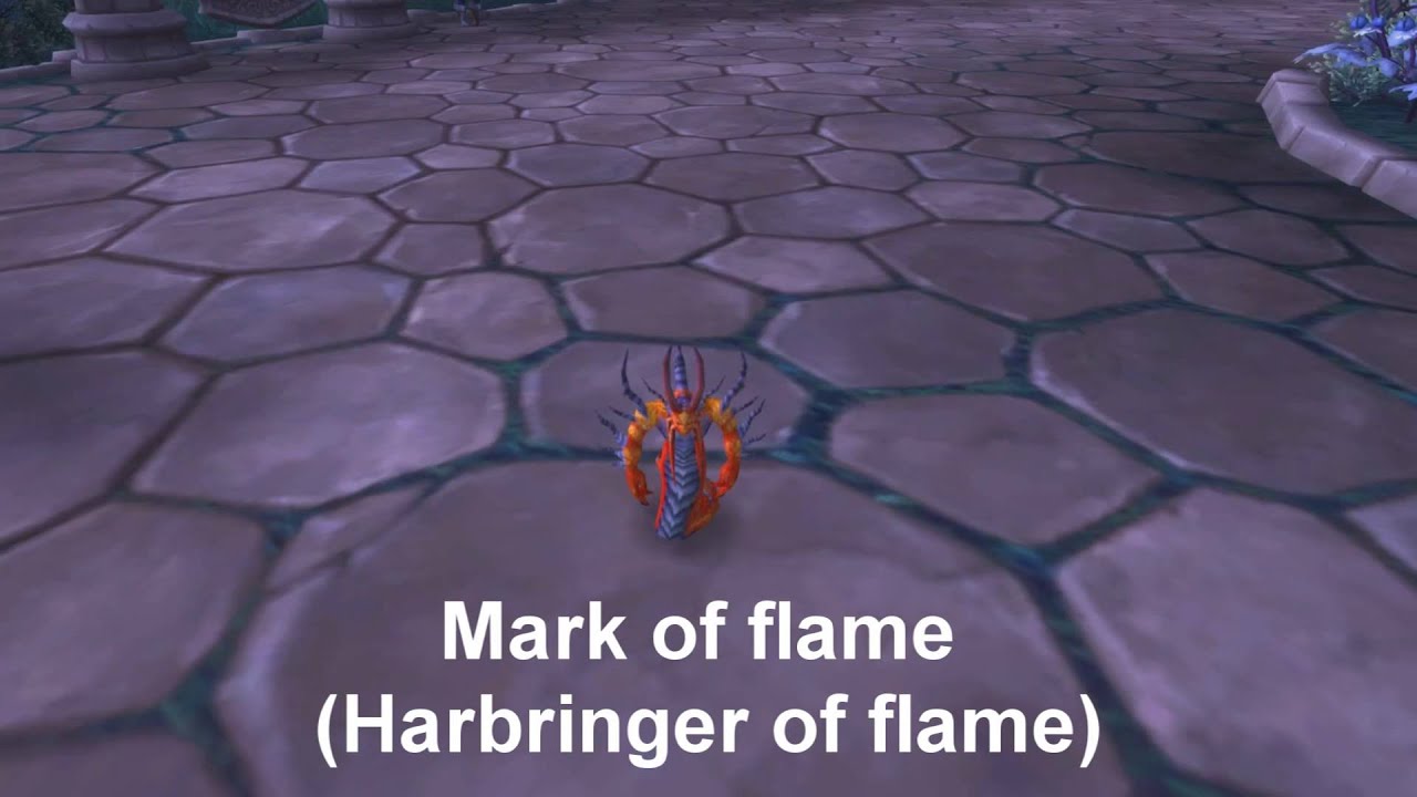 Wow - Molten core - Pet collection
