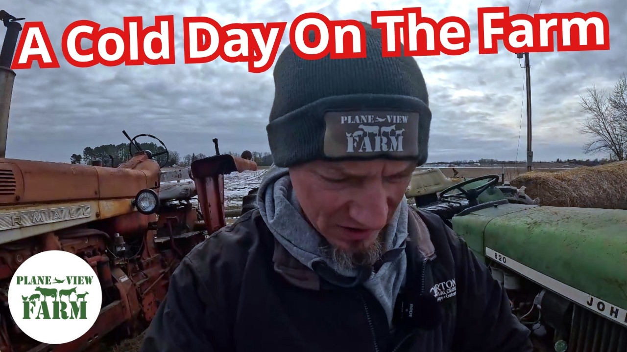 Jumstarting Tractors, Feeding Cattle, and Loading Pigs