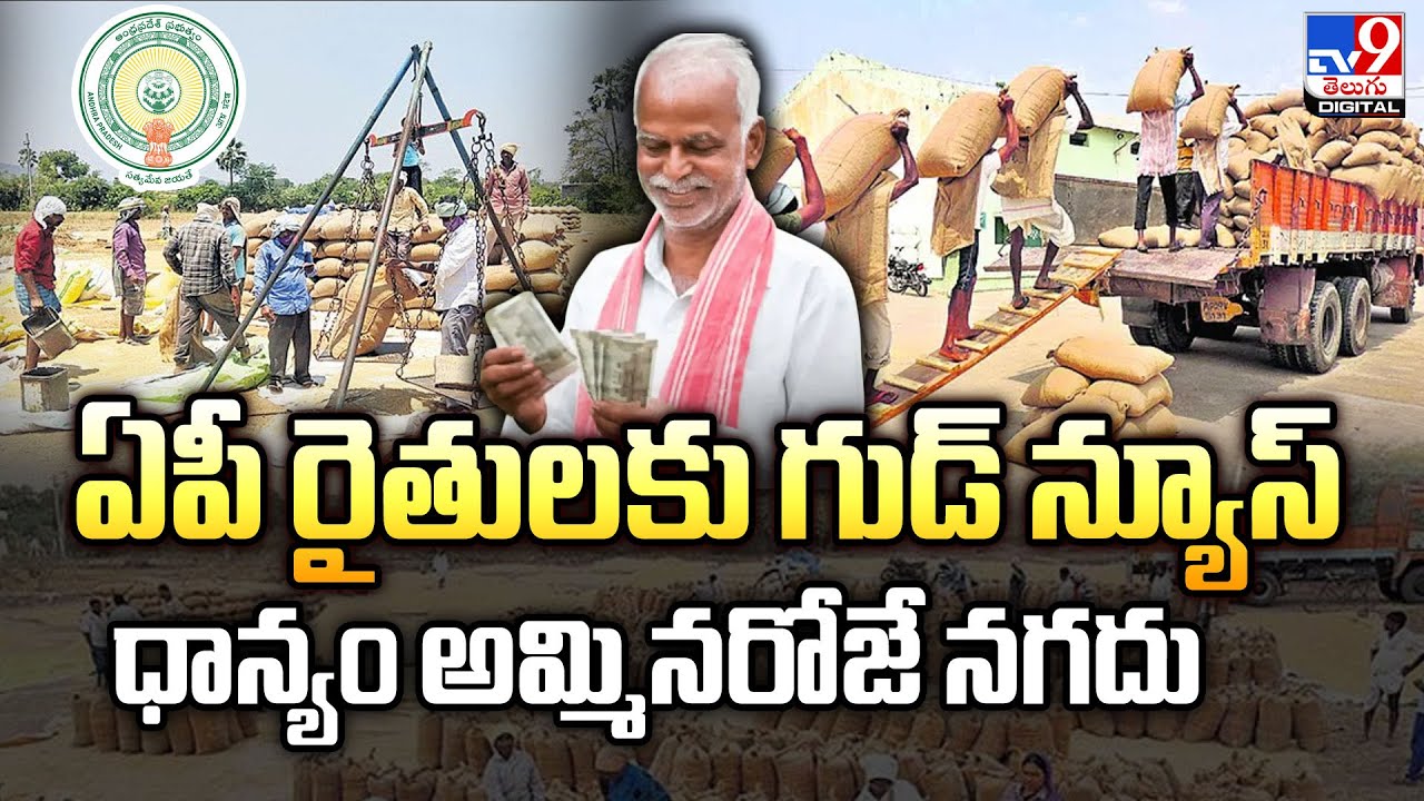 ఏపీ రైతులకు గుడ్ న్యూస్.. ధాన్యం అమ్మినరోజే నగదు | Andhra Pradesh | CM Chandrababu - TV9