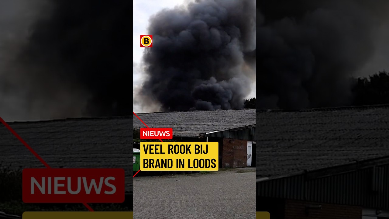 Brand bij paddenstoelenkwekerij in Overloon | #112nieuws