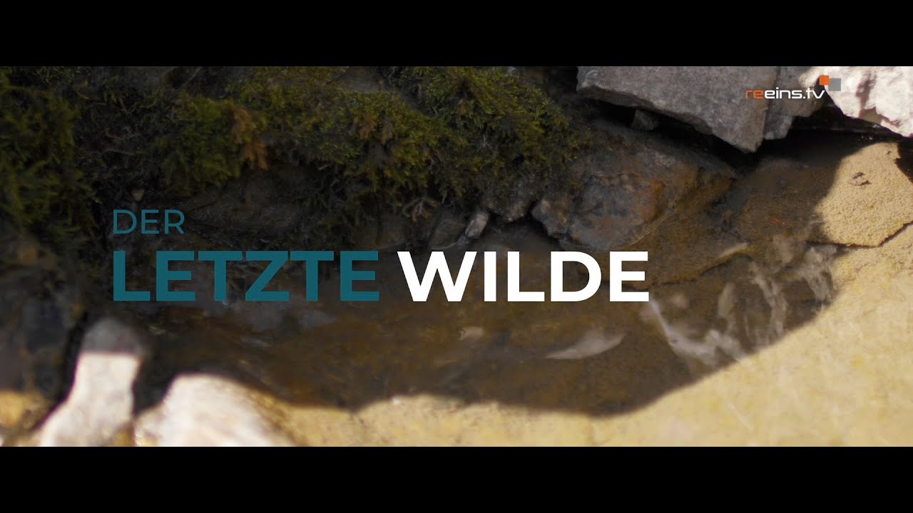 Der letzte Wilde - Der Lech (Teil 1)