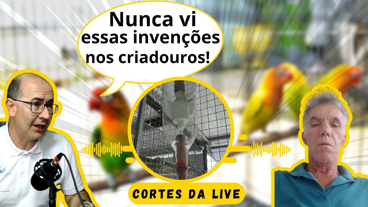 O QUE ESSE CRIADOR INVENTOU É INCRÍVEL!!!