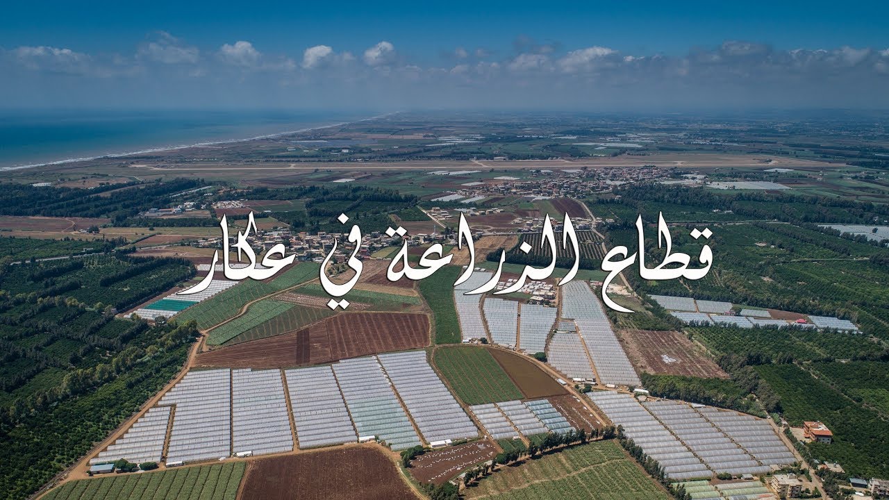 الزراعة في عكار