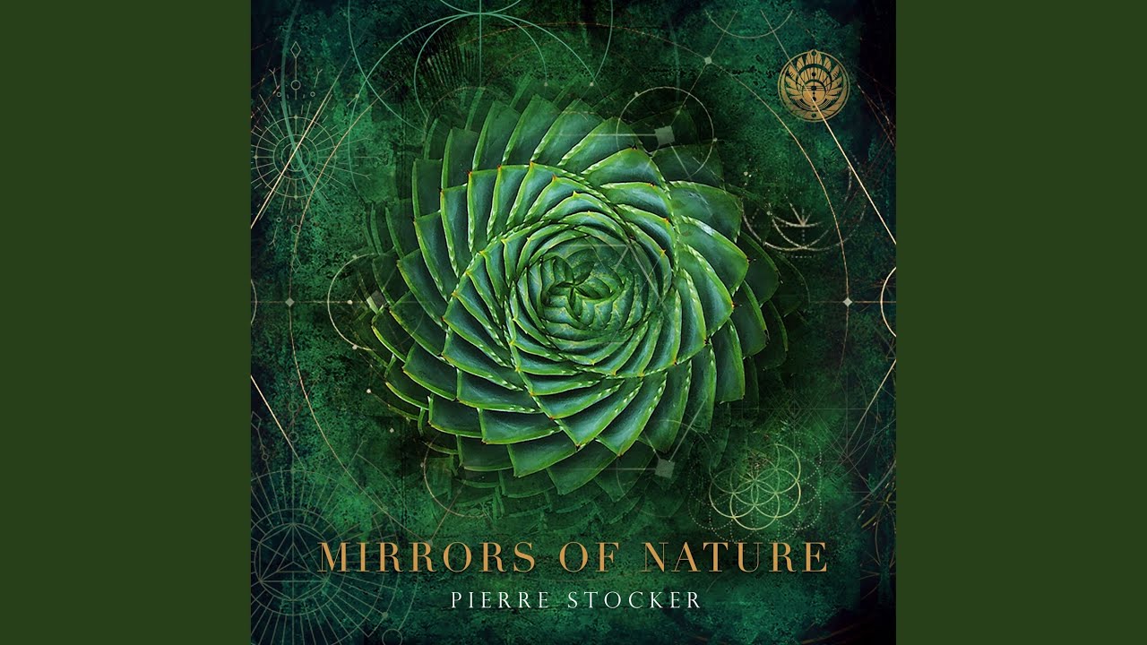 Mirrors of Nature