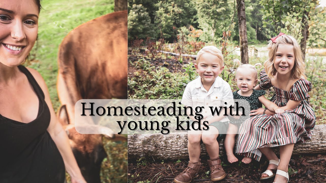 HOW WE HOMESTEAD with 3 YOUNG KIDS and 1 on the way!