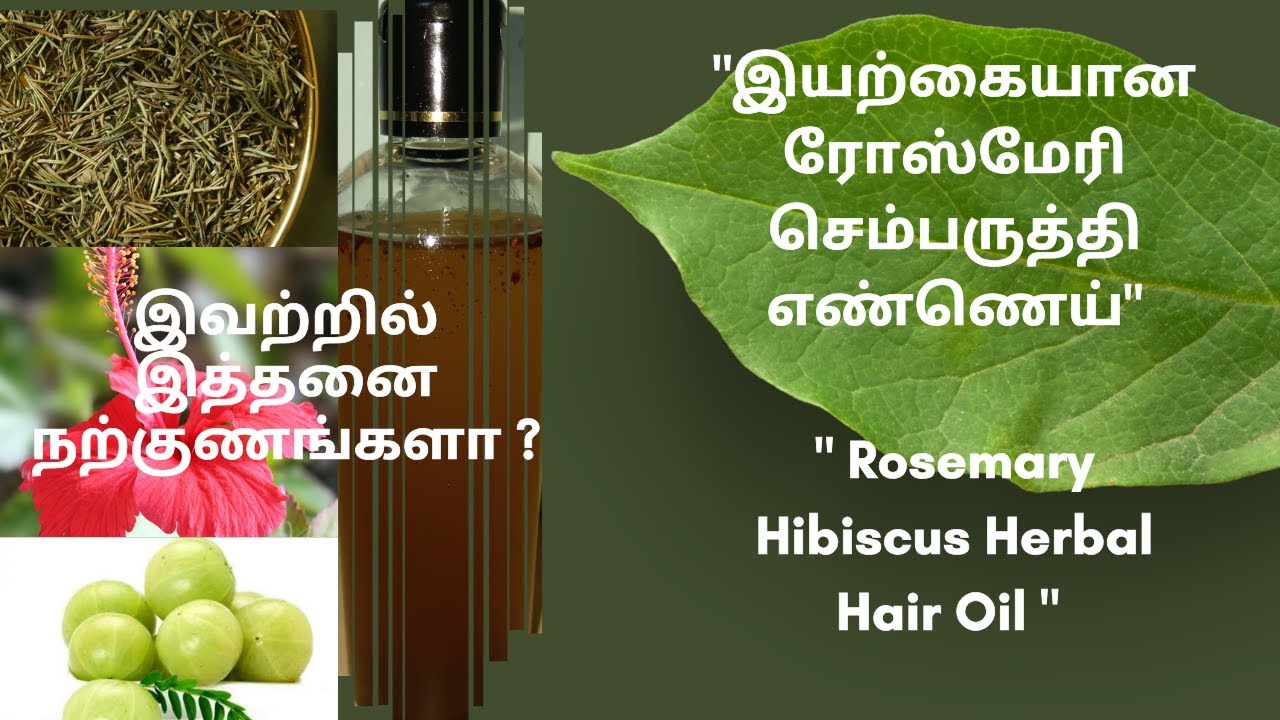 Homemade Rosemary Hibiscus Herbal Hair Oil/இயற்கையான ரோஸ்மேரி செம்பருத்தி எண்ணெய் தயாரிப்பது எப்படி?