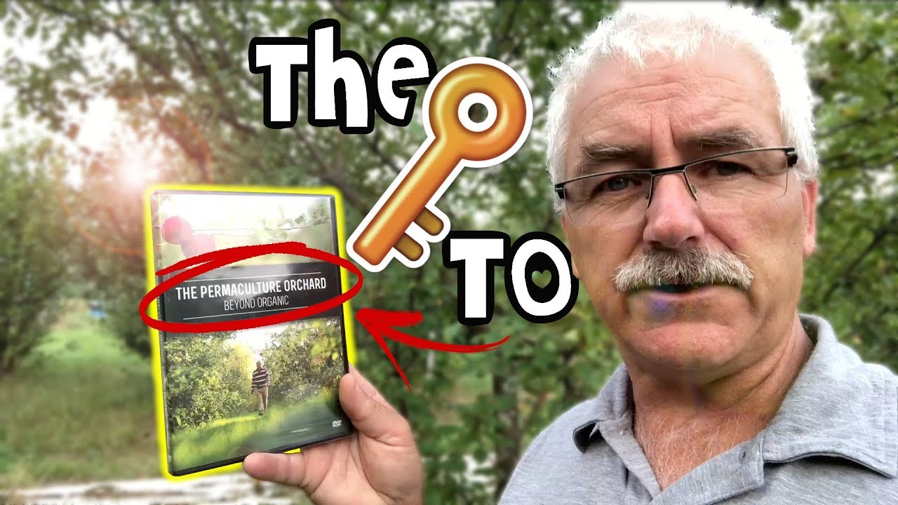 THE KEY to YOUR Permaculture Orchard or Fruit Planting is...