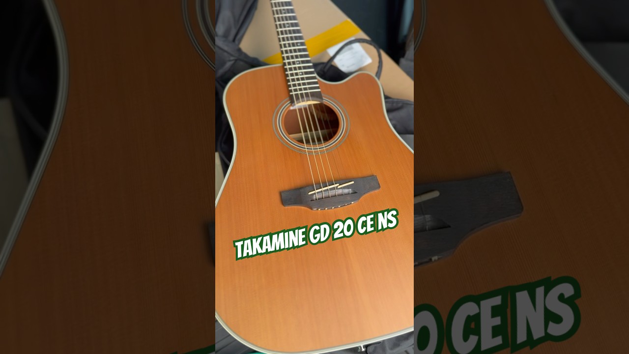 รีวิว Takamine GD 20 CE NS 