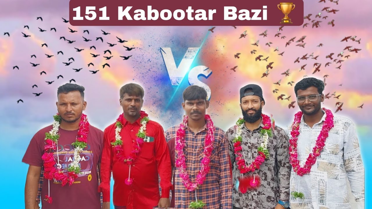 Samad Bhai K 151 Larty Hue Kabootar /Kabootar Bazi 💥 11 Kabootar Pakrey / Samad Bhai vs Shakeel Bhai