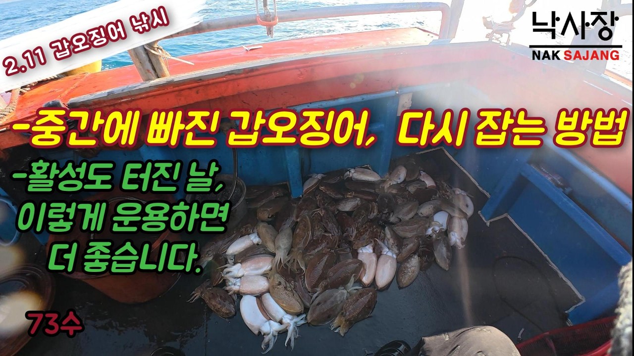제주 심해 갑오징어 낚시 - 개인 기록 달성 73수, 빠진 고기도 다시 잡아보자