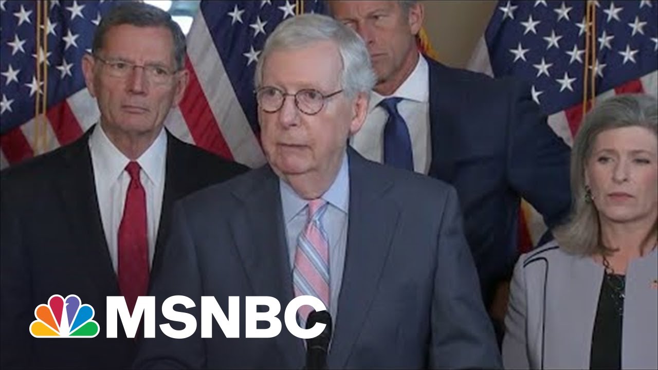The Divide In The Republican Party Grows Deeper As Midterms Approach | ScreenShare