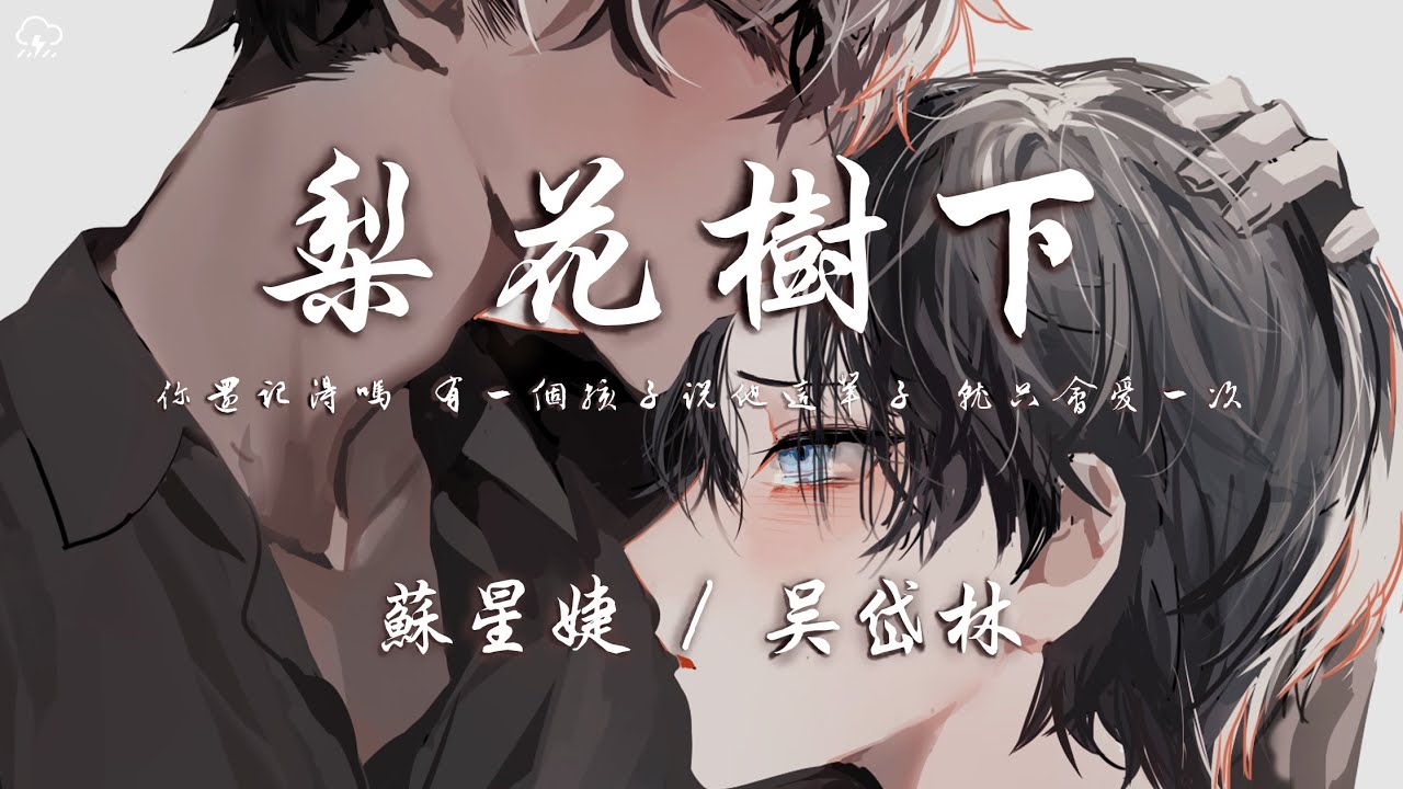 蘇星婕/吳岱林 - 梨花樹下「你還記得嗎 有一個孩子 說他這輩子 就只會愛一次」【動態歌詞/PinyinLyrics】♪