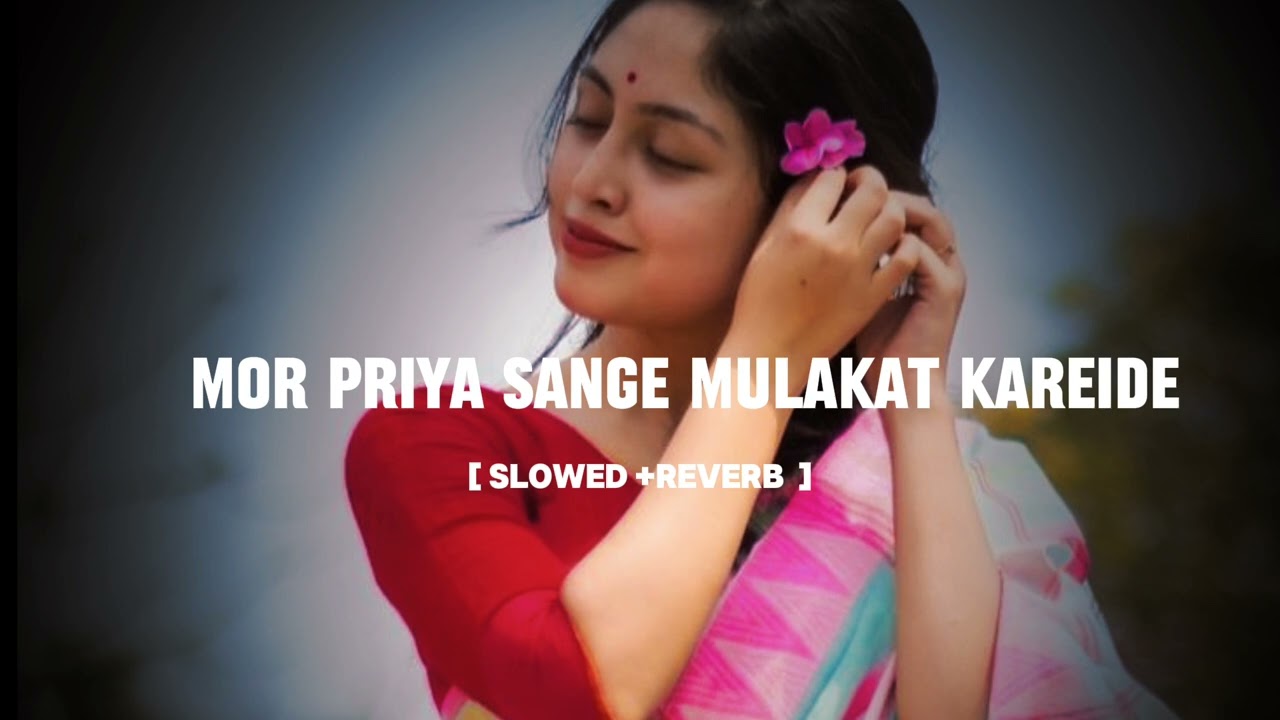 Mor Priya sange mulakat Kareide [ Slowed & Reverb ] Sambalpuri Lofi song #lofisong #lofimusic