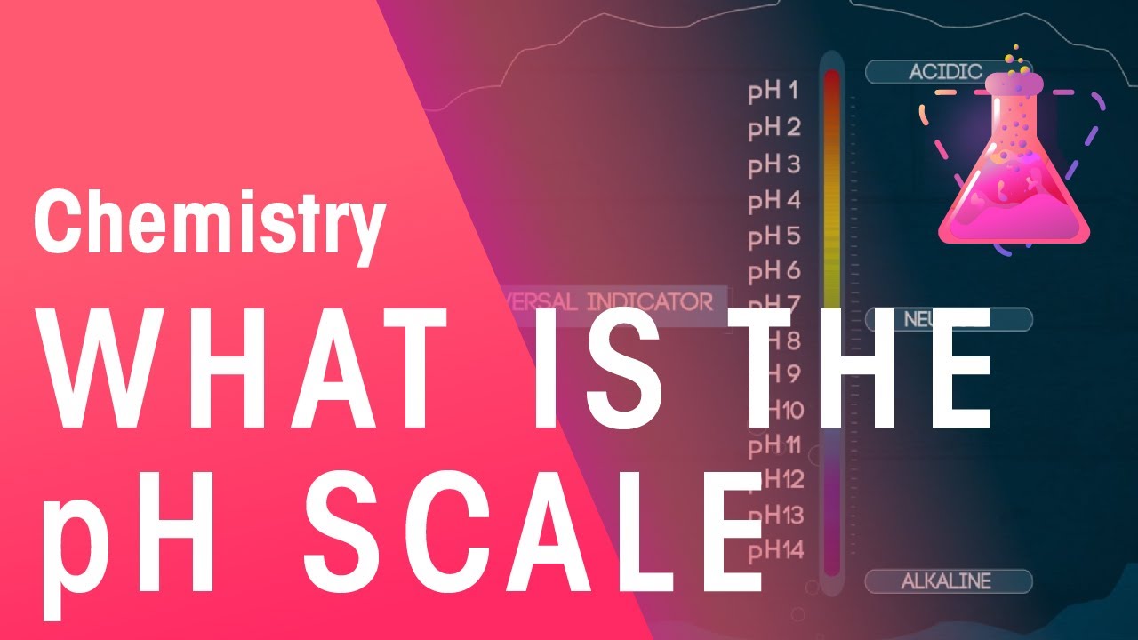 What Is The pH Scale | Acids, Bases & Alkalis | Chemistry | FuseSchool