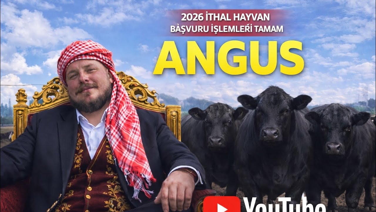 KÜÇÜK İŞLETMELER DE İTHAL HAYVAN BAŞVURULARI~BU İŞTE PARA VAR KORKMAYIN~ANGUSTA PARA VAR 
