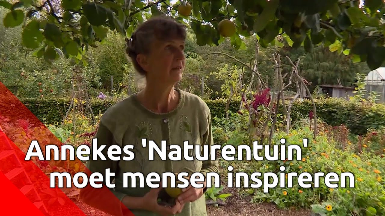 Anneke veranderde een weiland in een prachtige wilde tuin