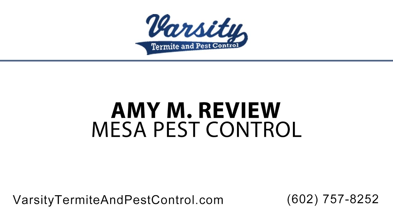 Amy M Review of Mesa Pest Control by Varsity