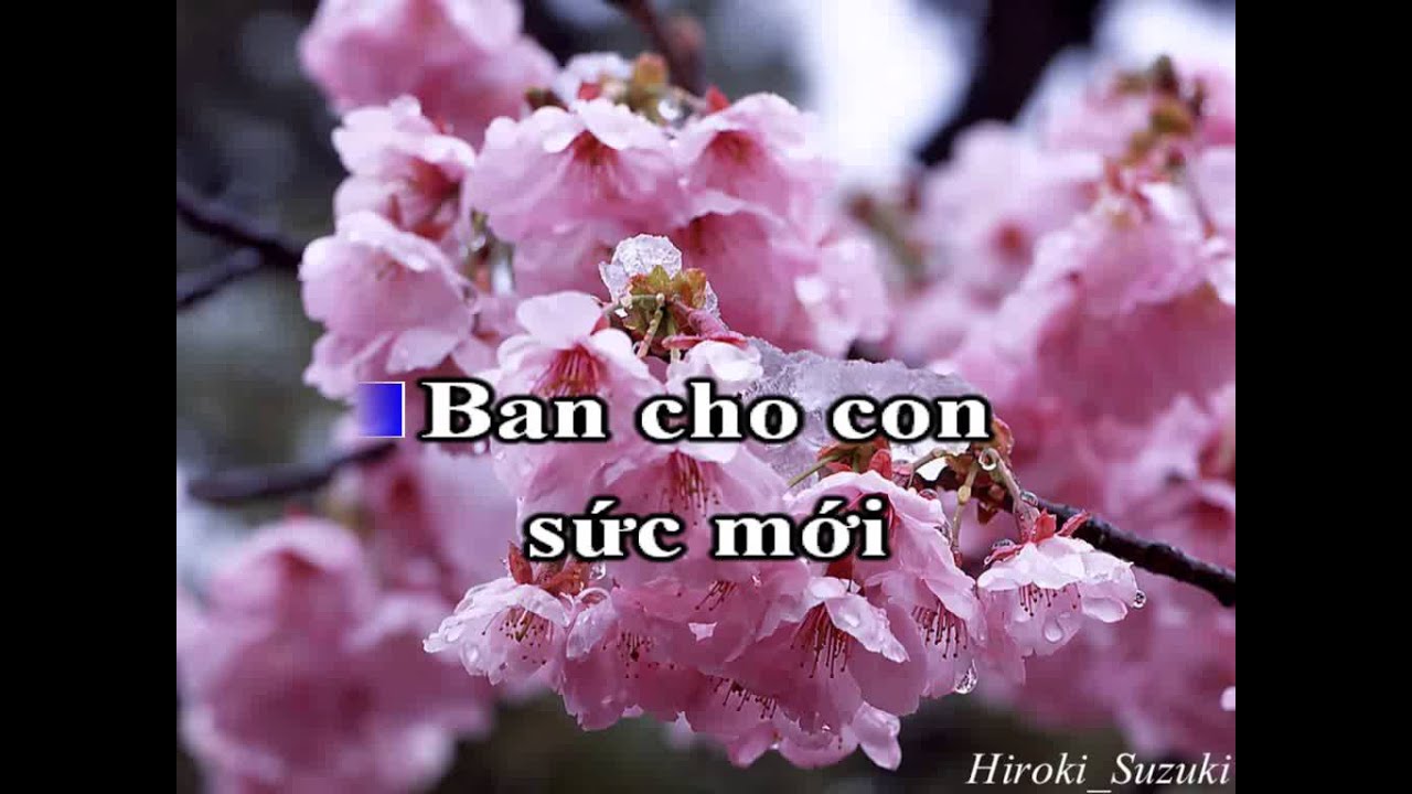Cha Yêu Thương