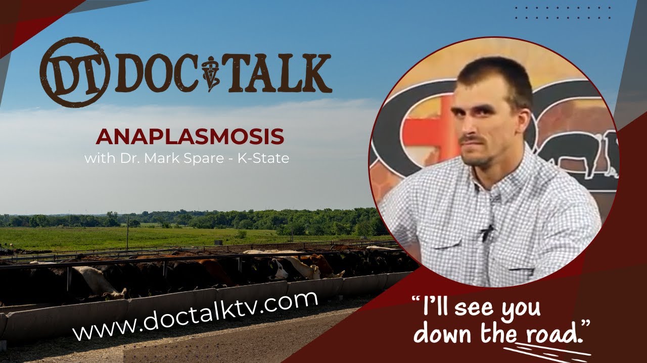 DocTalk Ep 251 - Anaplasmosis in Cows with Dr. Mark Spare