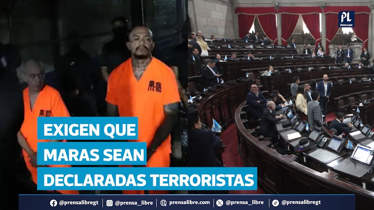Exigen al Gobierno declarar terroristas a los pandilleros del Barrio 18 y la Mara Salvatrucha