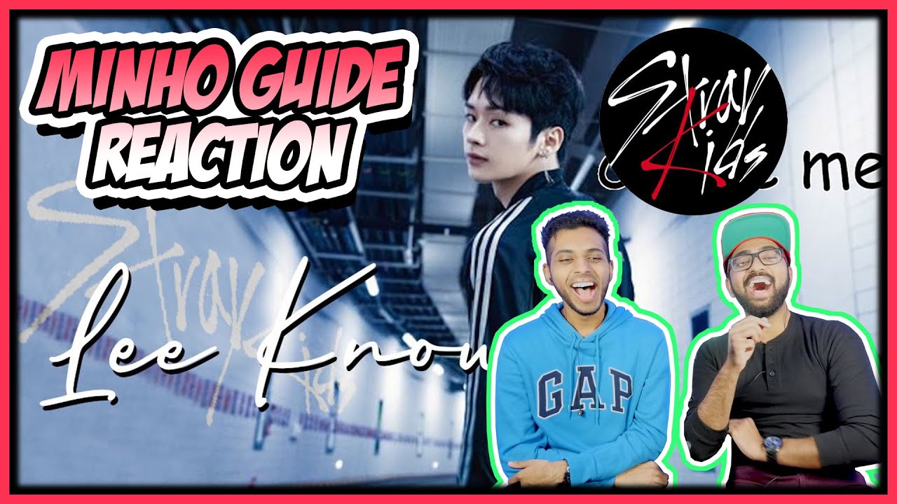 STRAY KIDS GUIDE - LEE KNOW EDITION REACTION