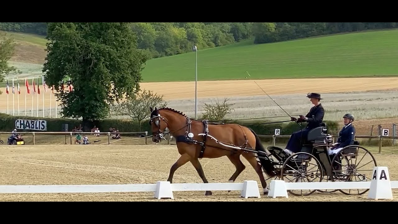 Fahrturnier Chablis CAI DRESSUR: Ulrike Schmidt mit Nicolai
