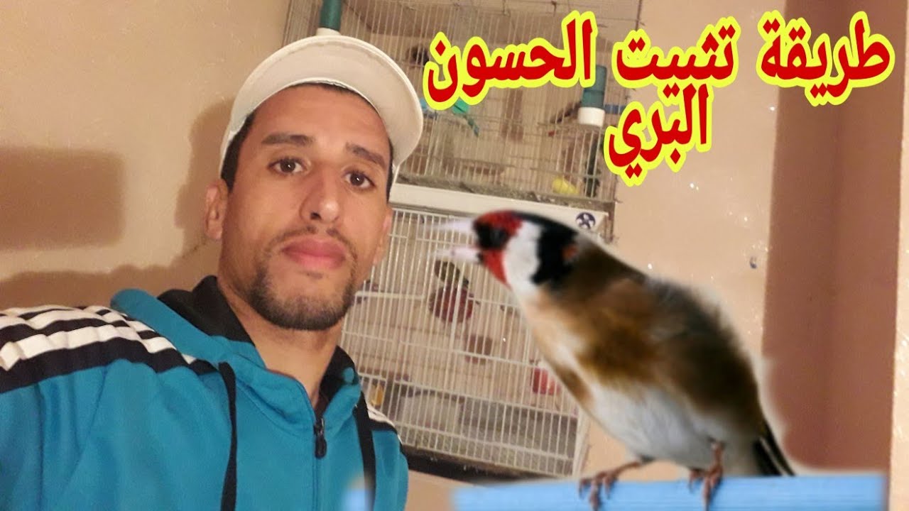 تثبيت حسون بري  بطريقة مجربة  %100(المرحلة الاولى)