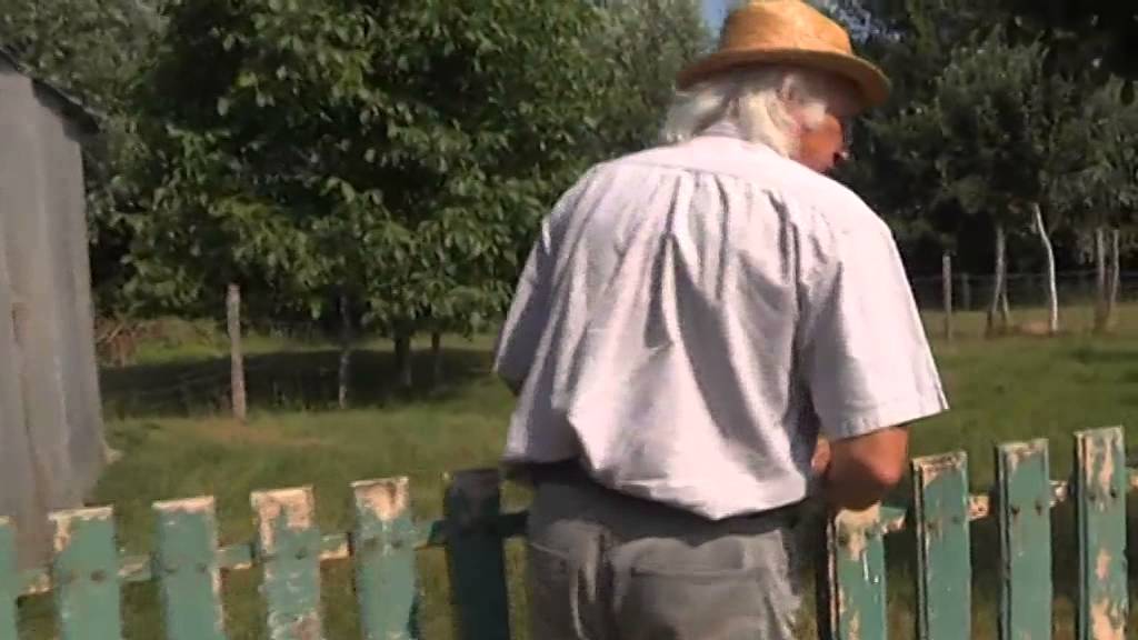 Un passionné au secours de la chouette chevêche