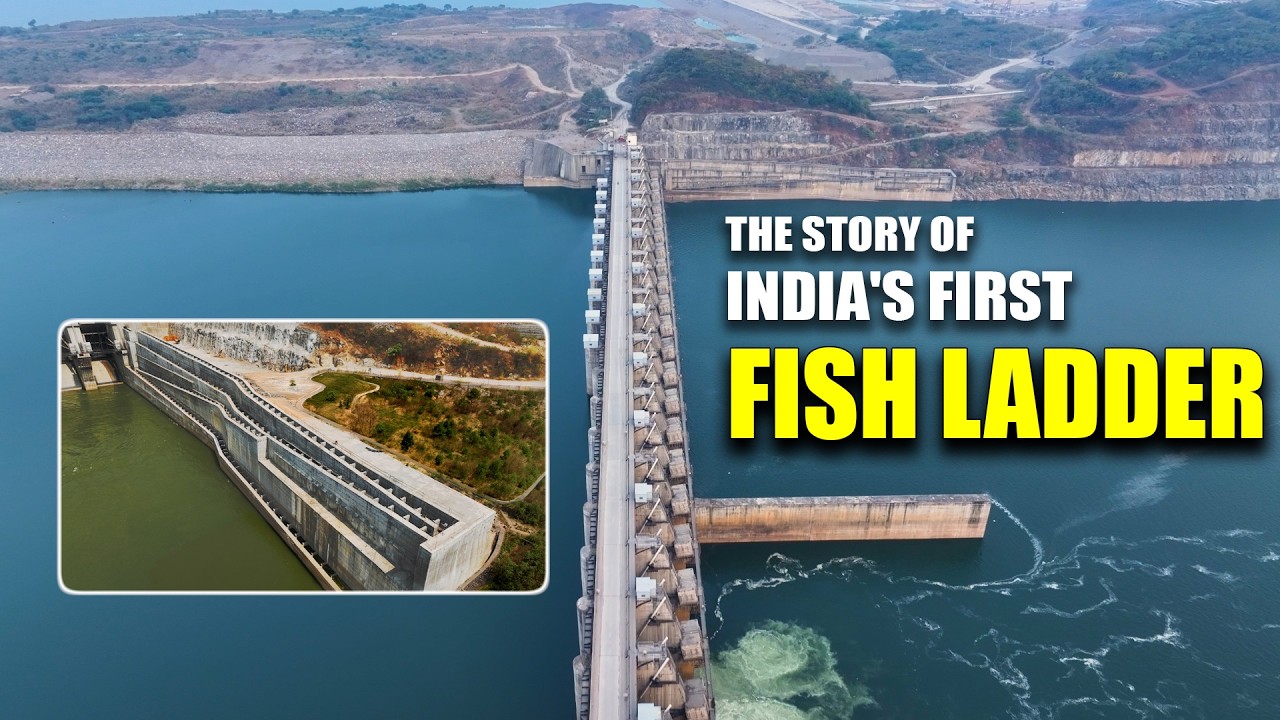 The Story Of India's First Fish Ladder | Megha Engineering
