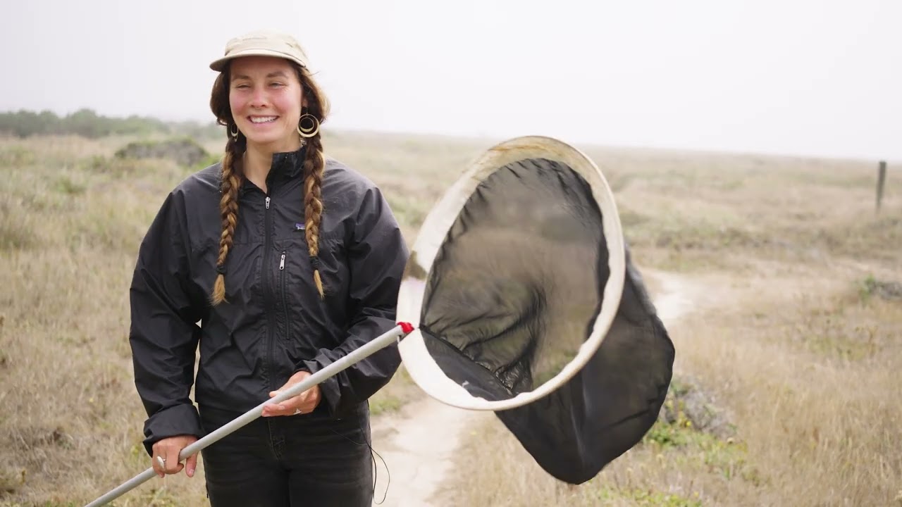 Mendocino Land Trust- 50 Years of Conservation Since 1976