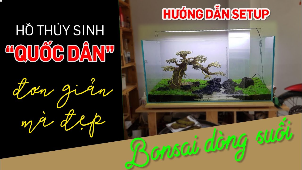 Bố cục thủy sinh 