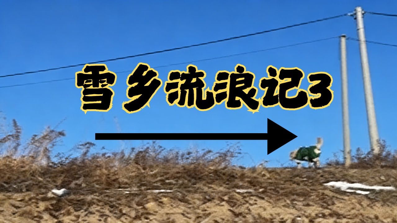 雪乡流浪记第三弹！深入雪原解锁雪地生存技能，冬日冒险超带感⛷️# 雪地生存 #冒险