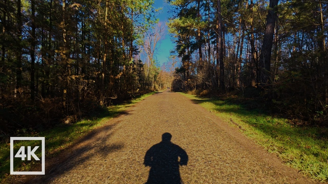 POV Bike Ride 🚴‍♂️ Düsseldorf → Essen 51km 🇩🇪 | Clear Your Head with Lofi Jazz/Funk/Hiphop