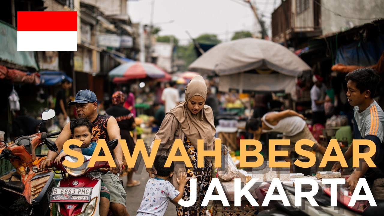 TABINCI#18HL
