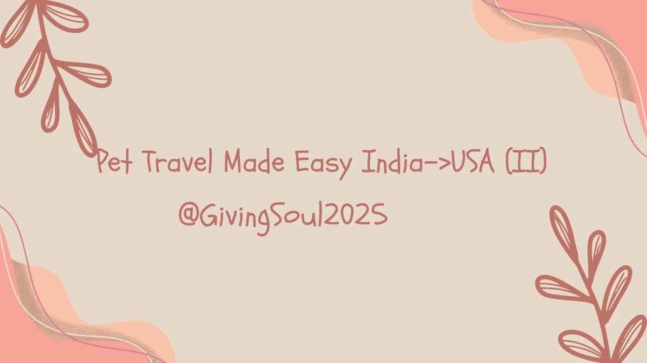International Travel | Pet in Cabin | Documents