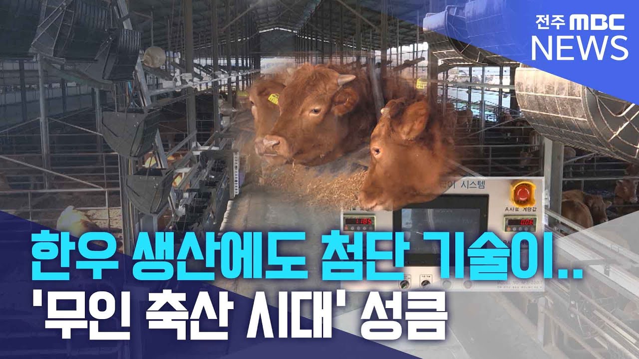 한우 생산에도 첨단 기술이.. '무인 축산 시대' 성큼 | 전주MBC 251207 방송