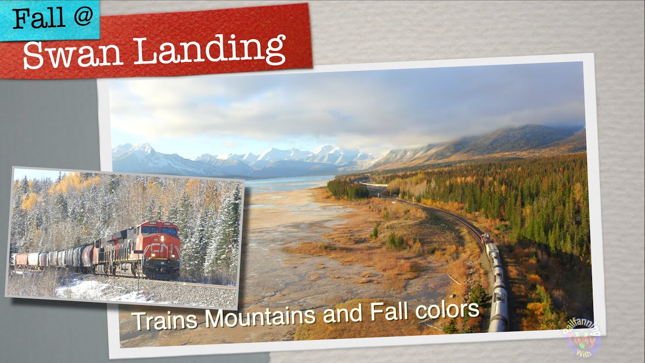 Golden hour near Hinton, epic mountain views and trains!