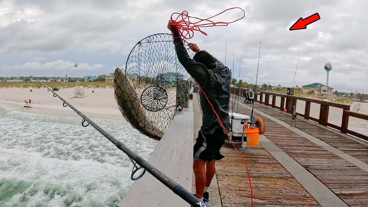 Fishing the Gulf Pier and Hooked This! *Biggest of the Year*