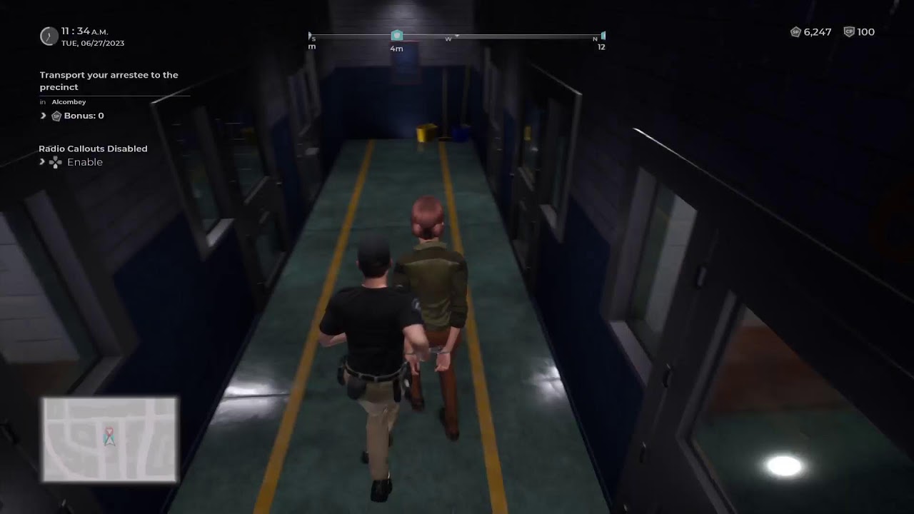 ShadowZone Phoenixes: ZeonDriger's Police Simulator