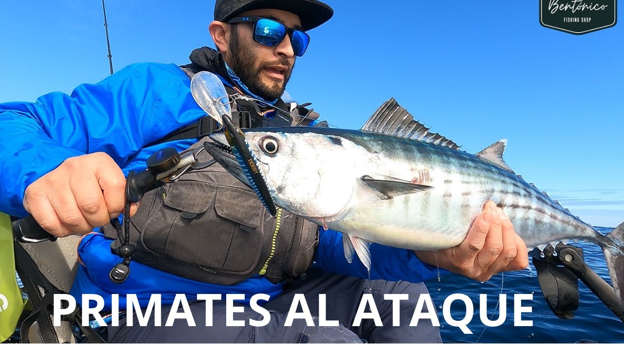 PRIMATES AL ATAQUE