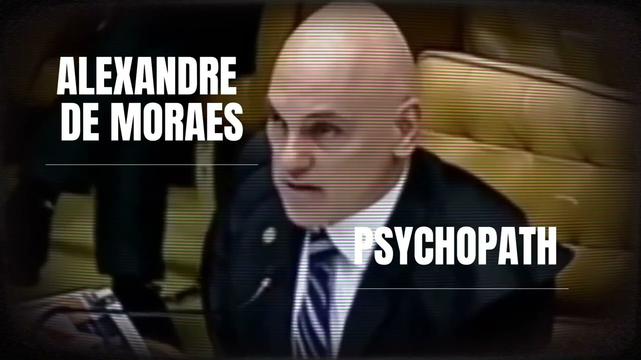 🎞️|Trailer: 