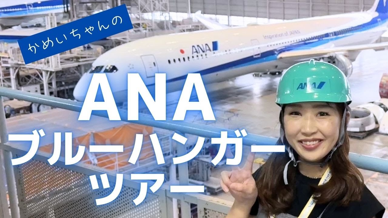 ANAブルーハンガーツアーの魅力徹底解説！予約困難な特別体験をSFC修行者も見逃せない！ #ana #sfc修行 #旅行 #ブルーハンガー
