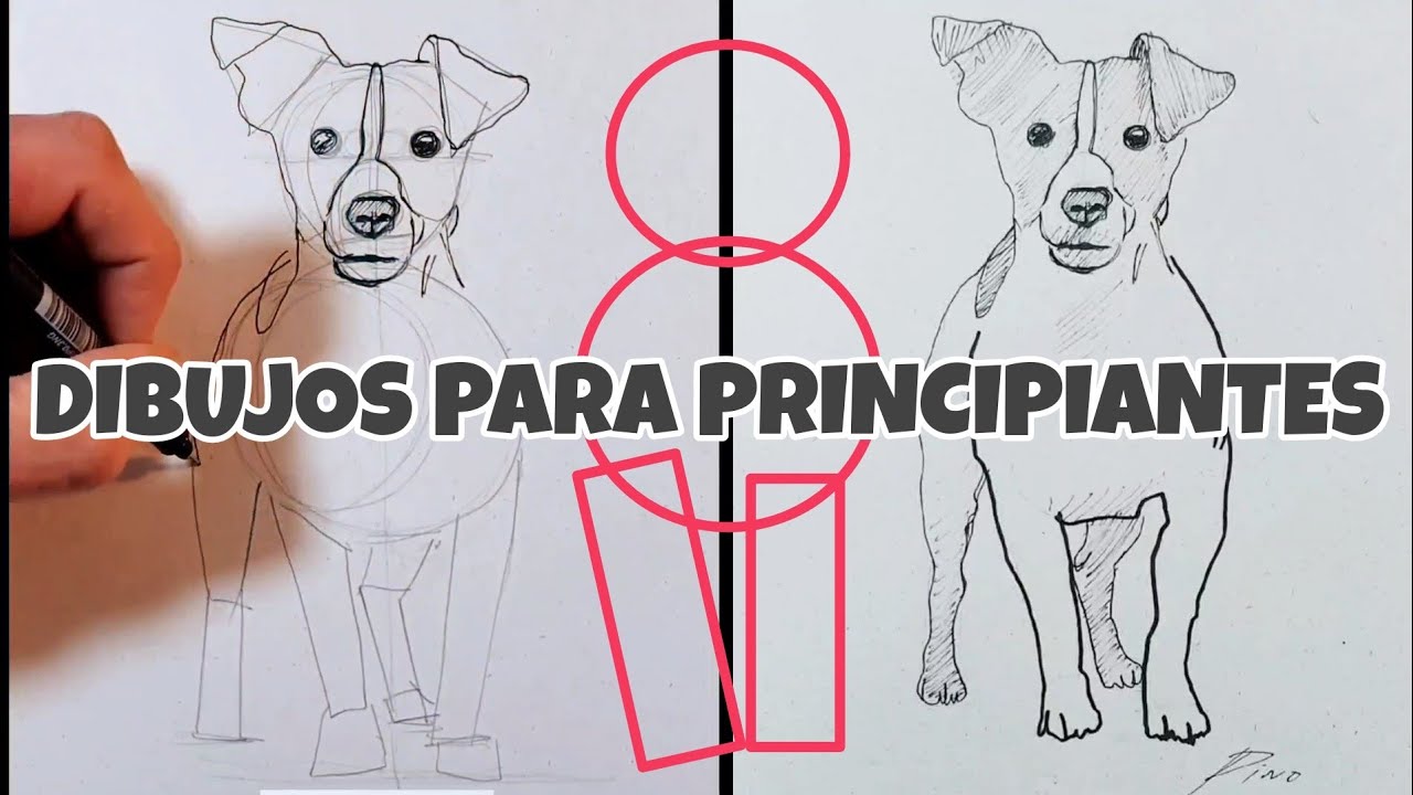 20 MINUTOS de DIBUJOS y EJERCICIOS para PRINCIPIANTES