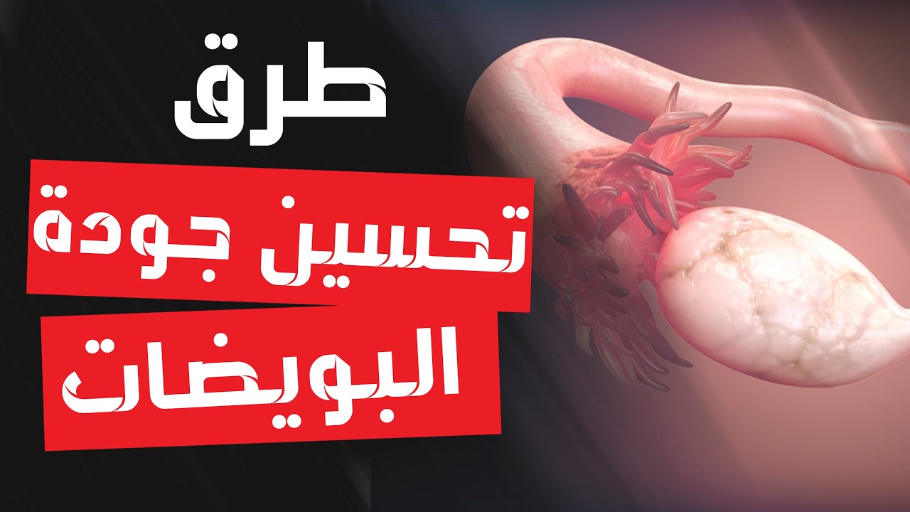 طرق تحسين جودة البويضات لدى النساء .. و أسباب انخفاض جودة التبويض