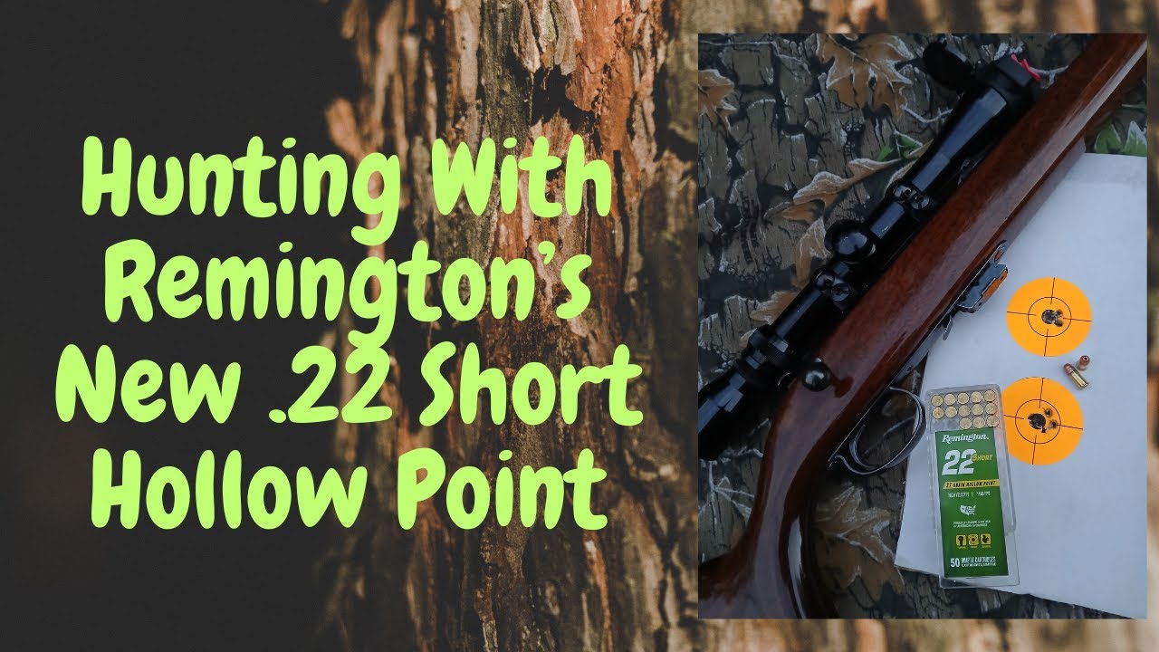 Охота с .22 Short Hollow Point