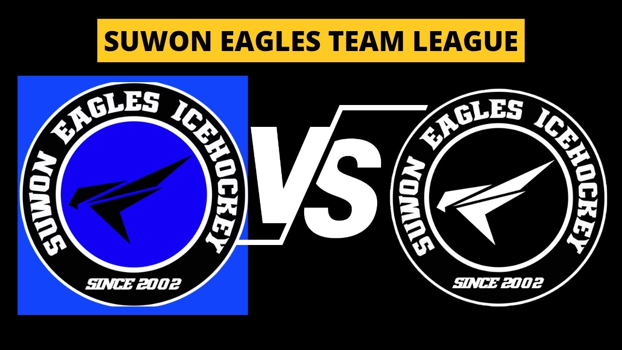 Team Black vs Team  Blue 수원이글스 팀리그 [[ Full Match ]]